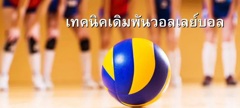 เทคนิคพนันวอลเลย์บอล